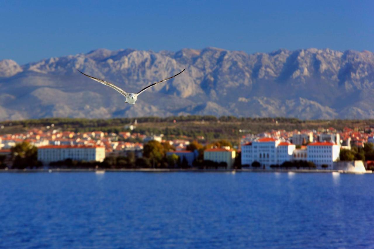 Kuki Apartment With Balcony Zadar Exterior photo